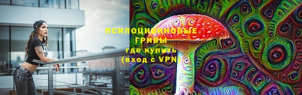 a pvp Арсеньев