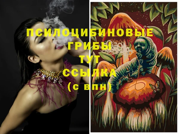 ALPHA-PVP Армянск