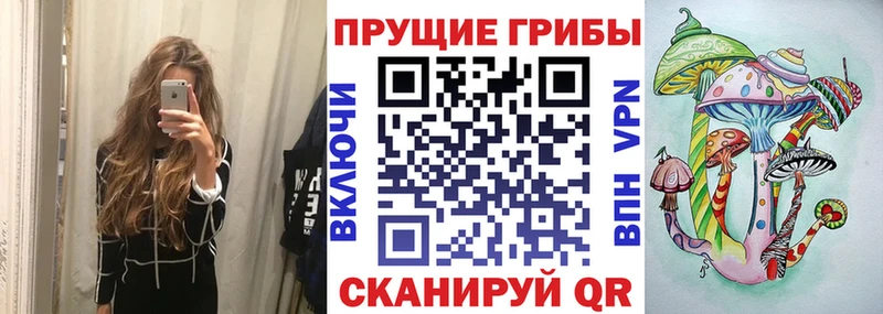 Галлюциногенные грибы Psilocybine cubensis  Татарск 